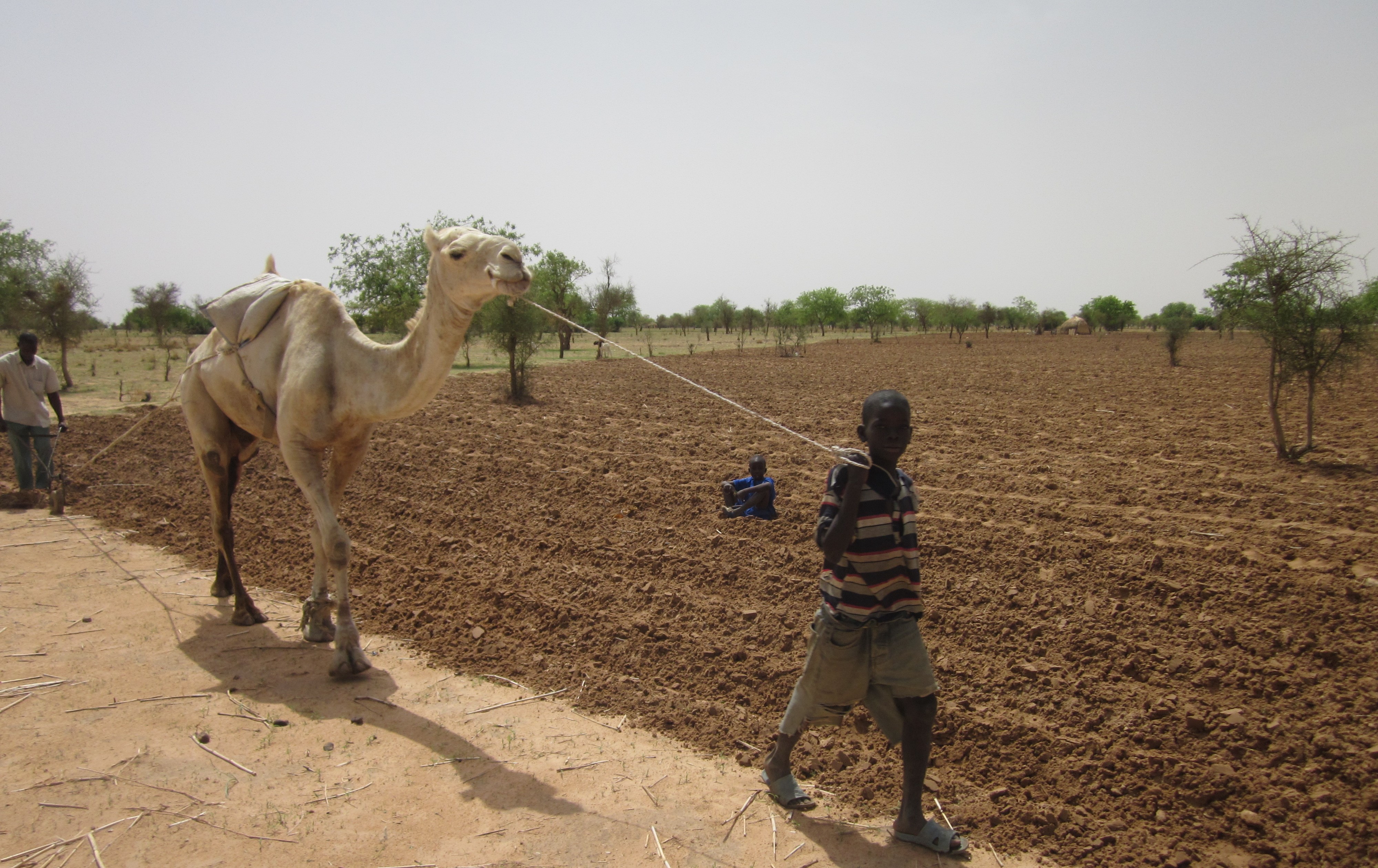 Appui à l’amélioration de la résilience des populations vulnérables dans les zones à
                risque