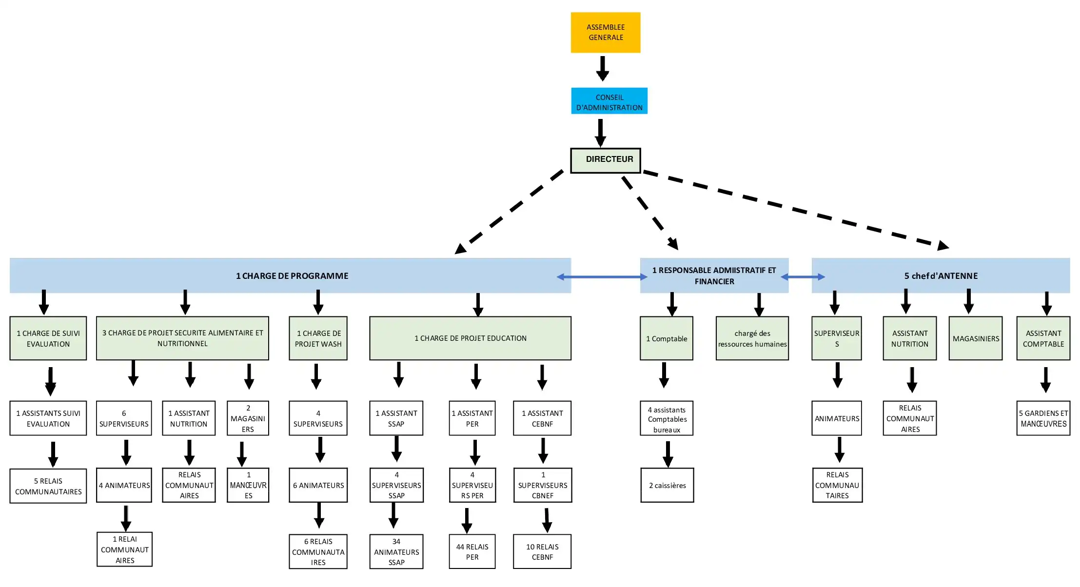 Organigramme